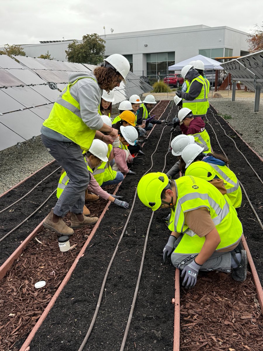 Nextpower tweet media