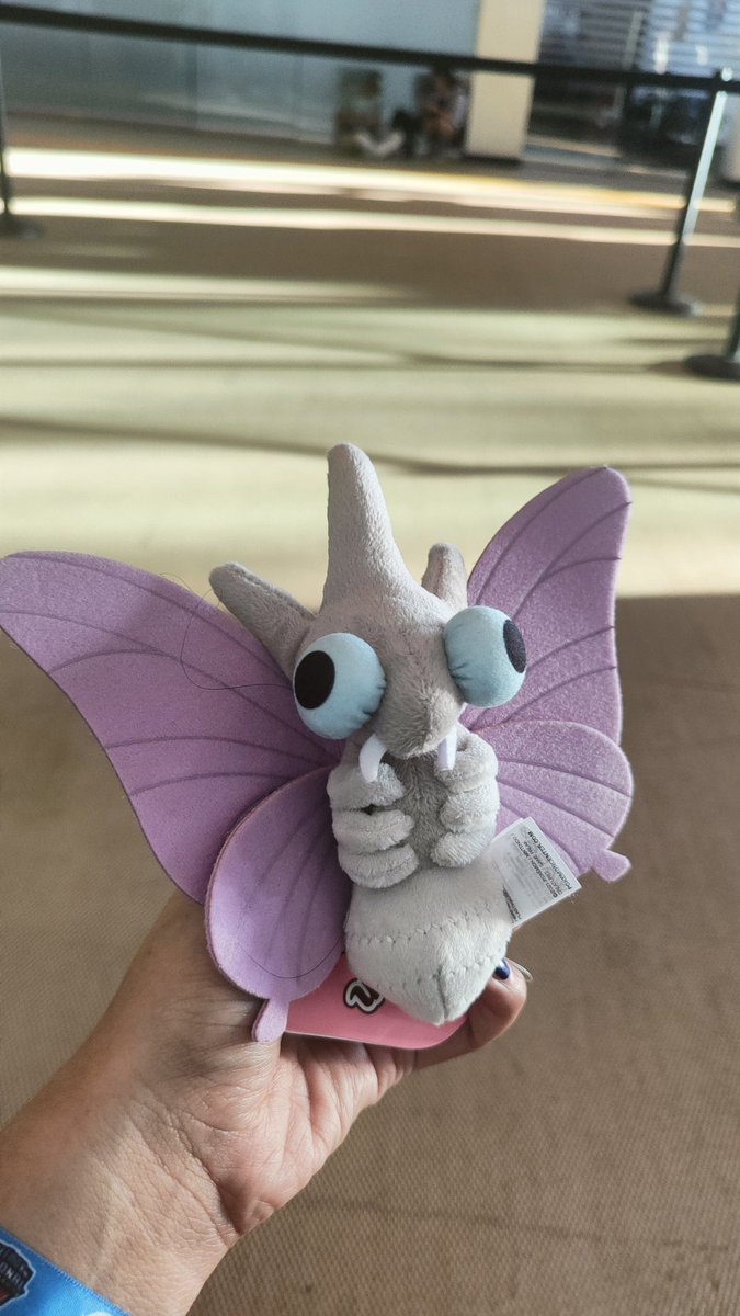 🇲🇽 Pichones Team tweet media