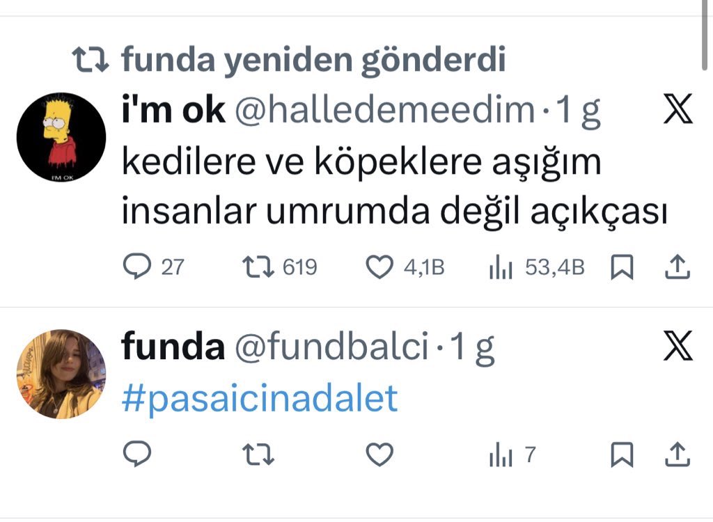 Hiç şaşmaz insan, çocuk, kadın düşmanlığını hayvan sevgisi (!) ile gizlemeye çalışan, tek hobisi sabah akşam avuç avuç köpek dışkısı toplamak olan, sevilmemişliğinin acısını, kuyruk sallayan hayvanla dindirmeye çalışan bir zavallıcık. Vallahi yazık. 
#başıboşköpekterörü