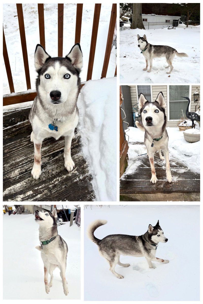 Misty 💙🌻 tweet media