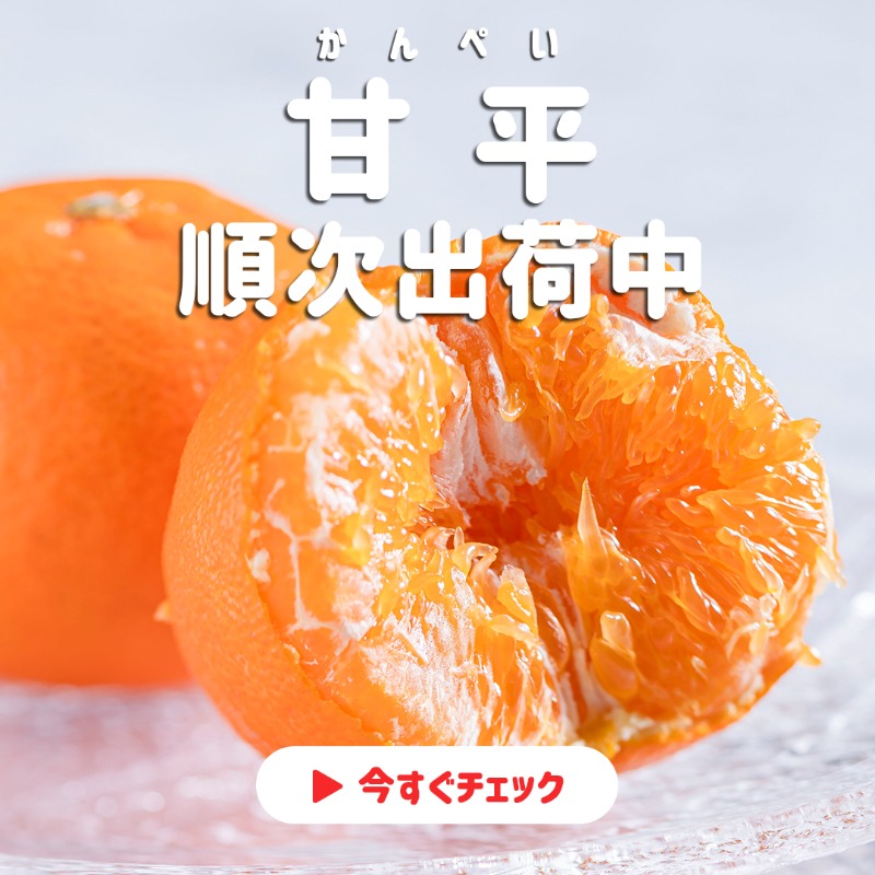 甘平!! 大好きです(◦ˉ ˘ ˉ◦)