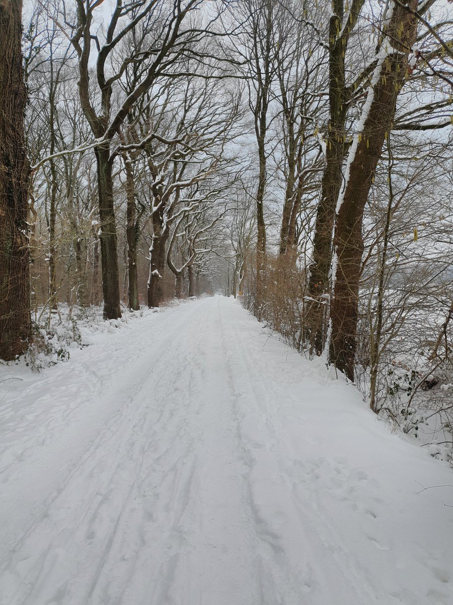 Moin 🤗☕️ Dann mal los in die restliche Woche - noch vier Tage bis zum Wochenende, das sollte doch zu schaffen sein 😉 Ich wünsche Euch einen ruhigen und entspannten Dienstag ❄️☃️ Kommt gut durch diesen Tag ☀️