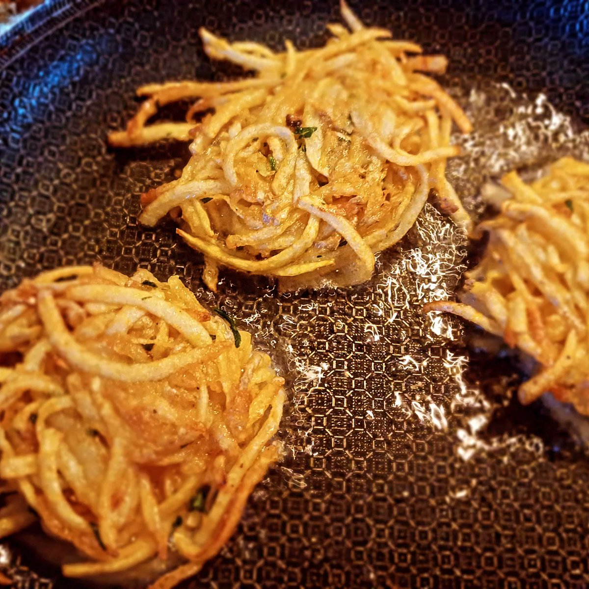 Joke Boon tweet media