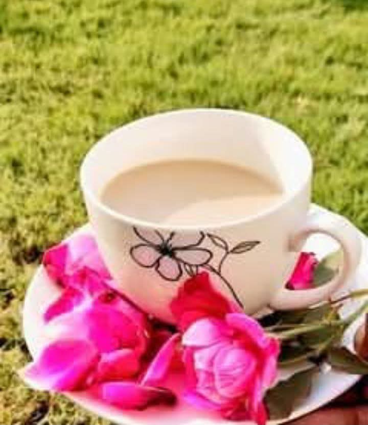 Great_1583uz's tweet photo. پھول چائے کی پیالی میں رکھ کر
اج اس نے محبت کا اقرار بھیجا ہے 💜🥀🥰
#قومی_زبان
#Good__Morning
🌹❤️🌹❤️🌹❤️ https://t.co/CxrW2blBGt
