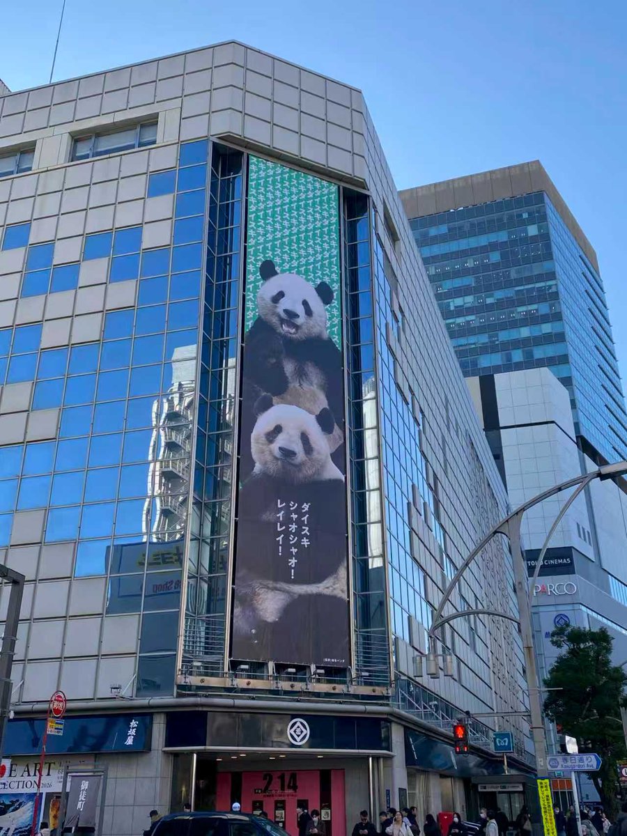 PeopleChina's tweet image. 今日、上野動物園の双子パンダ「シャオシャオ」と「レイレイ」（愛称「シャオレイ」）が中国へ帰国することとなりました。日本の作家・遠藤英湖さんが、温かい思い出と深い観察を綴ったエッセイを寄稿してくださいました。日本からの、心温まる別れの贈り物です。
peoplechina.com.cn/zrjl/202601/t2…