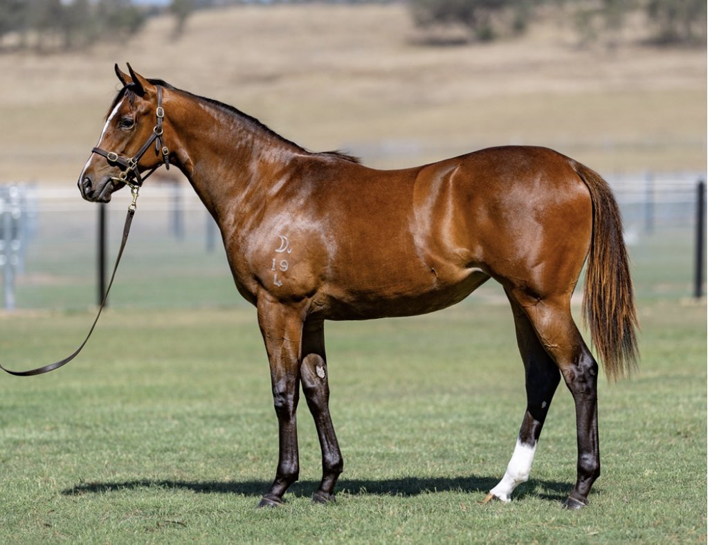 Capri Racing & Syndications tweet media