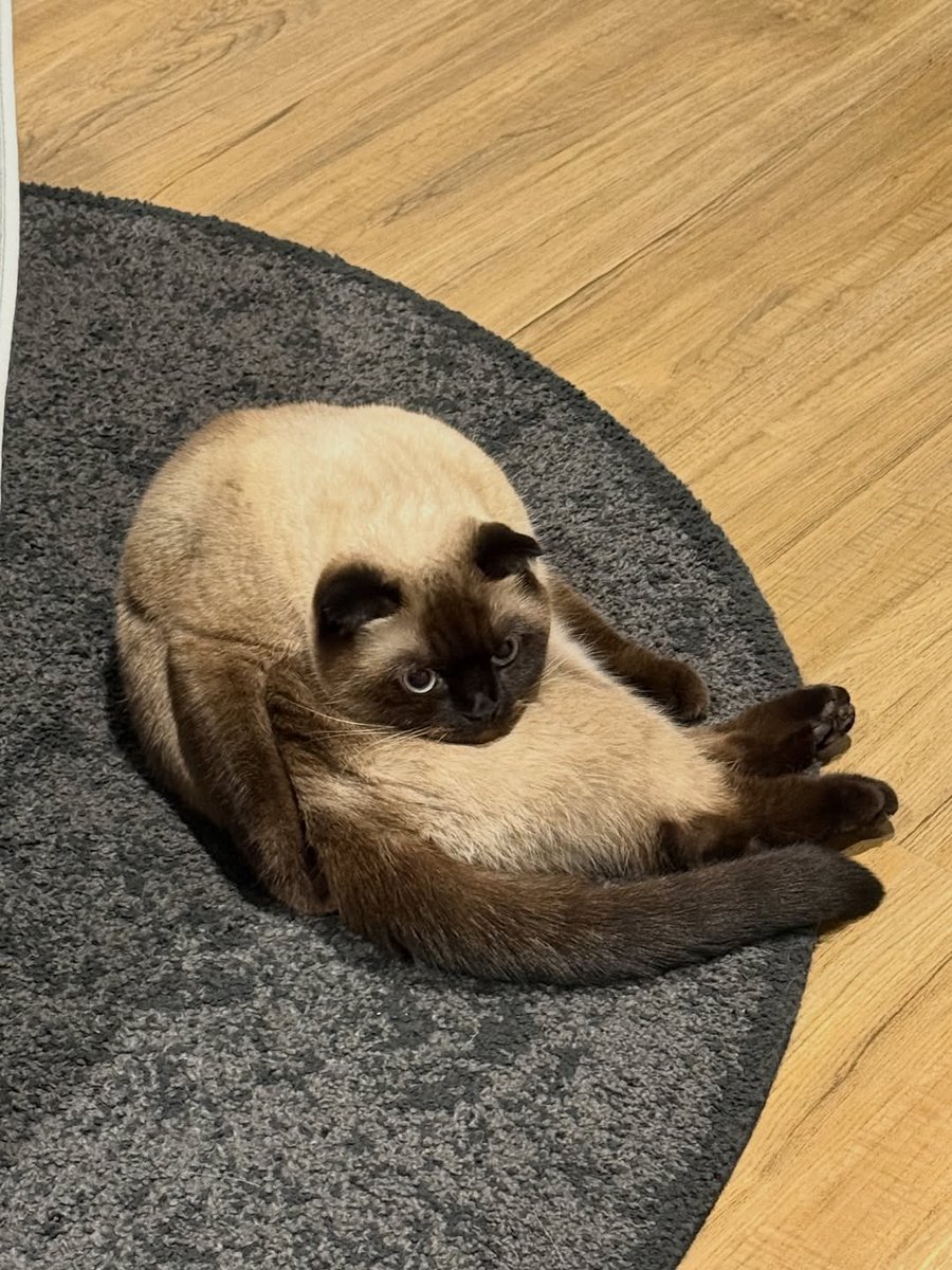 stretching

IG📹 : mirin.doo_jrsw