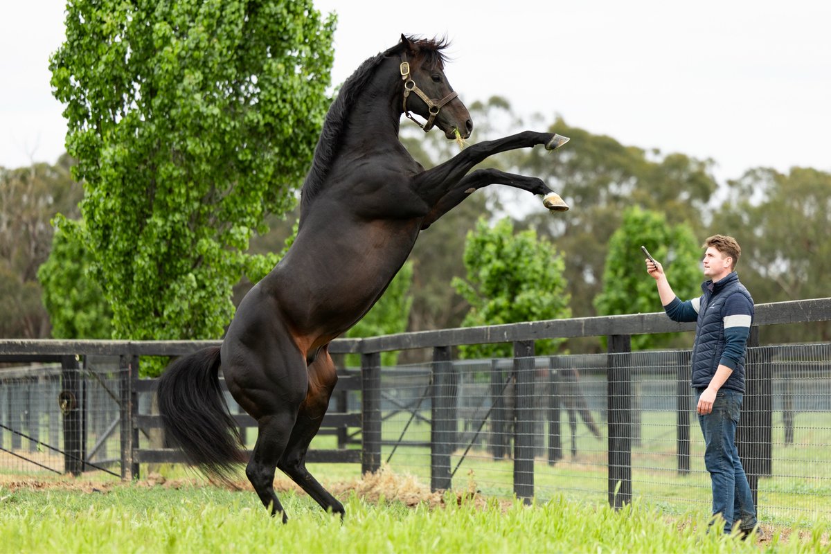 Lovatsville tweet media