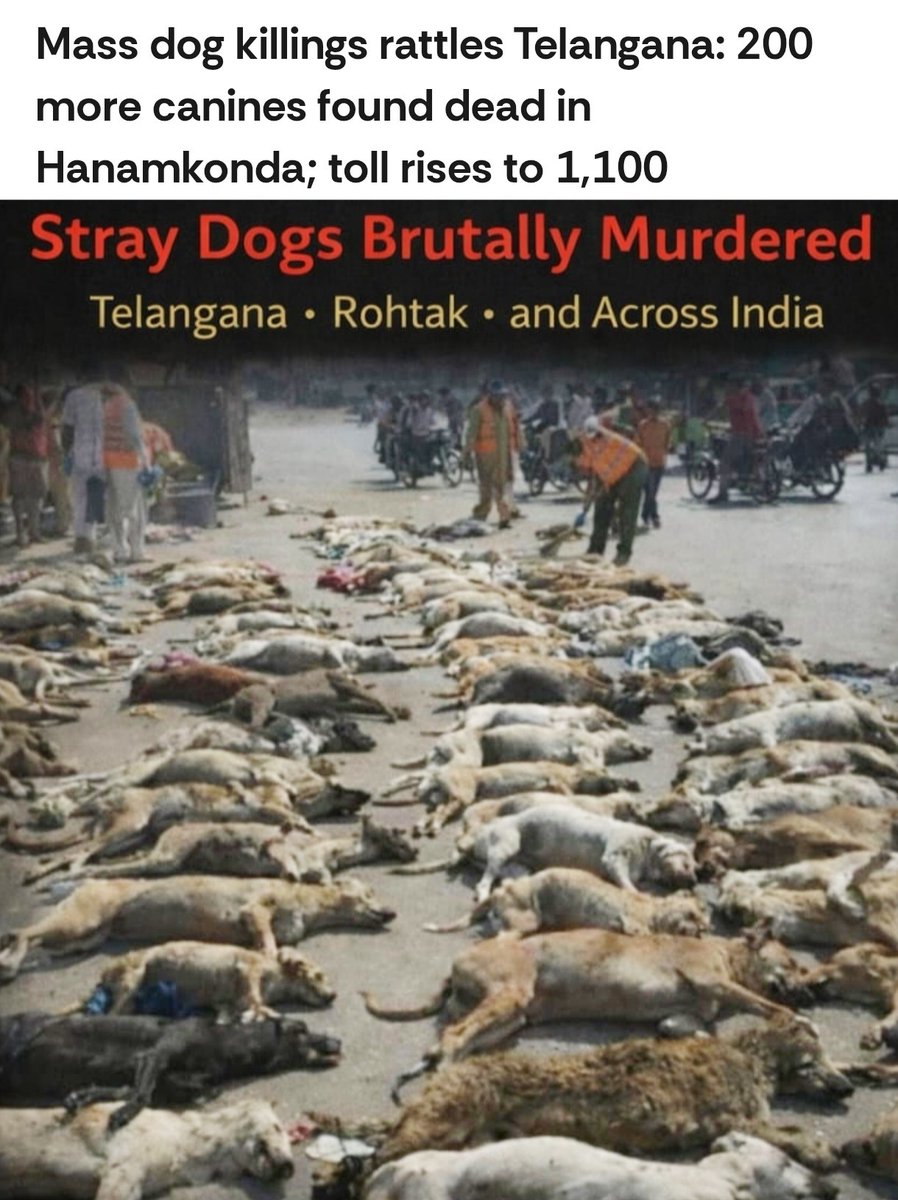 Looks like Chinese poachers have  infiltrated — hired contractors to eliminate dogs of India. MASS MURDER

Kindly take action in Telengana 
<a href="/HMOIndia/">गृहमंत्री कार्यालय, HMO India</a> <a href="/AmitShah/">Amit Shah</a> <a href="/AmitShahOffice/">Office of Amit Shah</a> <a href="/NIA_India/">NIA India</a> <a href="/narendramodi/">Narendra Modi</a> <a href="/PMOIndia/">PMO India</a> <a href="/AwbiBallabhgarh/">Animal Welfare Board of India</a> <a href="/MLJ_GoI/">Ministry of Law and Justice</a> <a href="/arjunrammeghwal/">Arjun Ram Meghwal</a> <a href="/Dept_of_AHD/">Dept of Animal Husbandry & Dairying, Min of FAH&D</a>