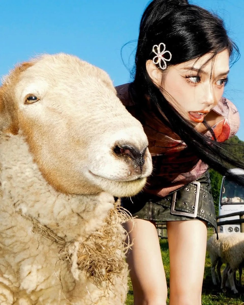 𝐊𝐞𝐢 tweet media