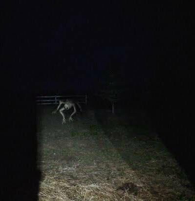 Travis S. Taylor tweet media