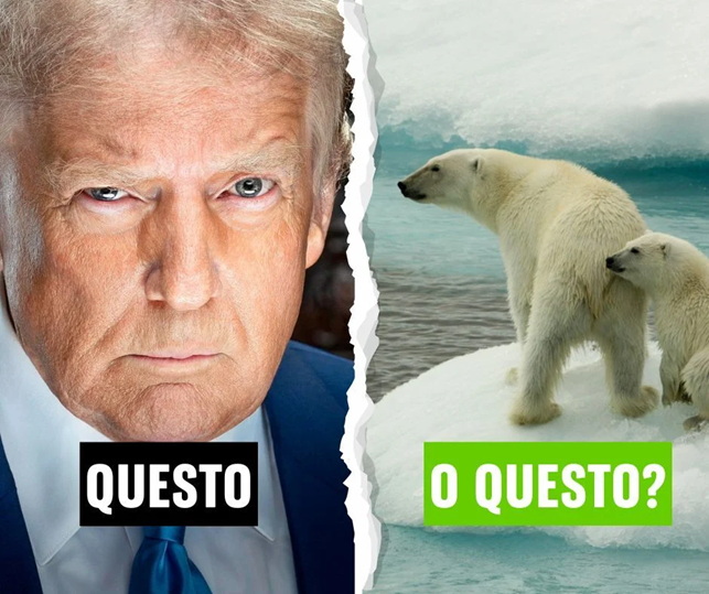 Sherpa07337944's tweet image. La chiamano “opportunità”. Ma opportunità per chi, se il prezzo è la distruzione di uno degli ultimi ecosistemi intatti del pianeta?
#acquisto #artico #controllo #greenpeace #groenlandia #protezione #sfruttamento #Trump #Altri Spazi #Sherpa
sherpa-gate.com/altrispazi/la-…