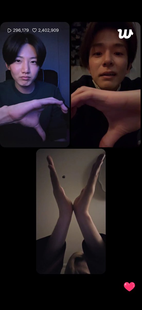 ㄲㅉㅃ 너무순하고귀여움