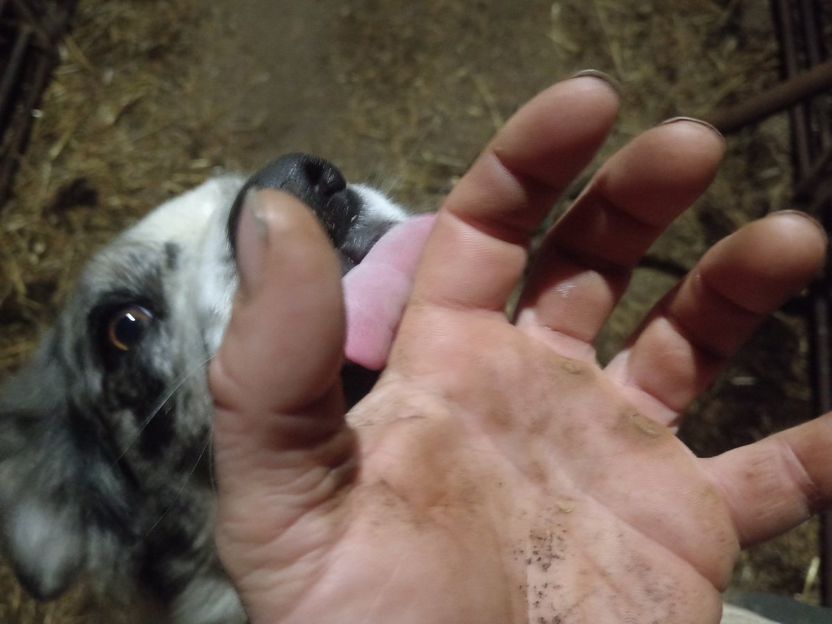 xaiecologic's tweet photo. N'hi ha que tenen la necessitat de participar del circ de la gent important,de les seves reunionetes,contactes, d'allò de la vida social trepidant.
A vegades tinc la sensació que en realitat ens envegen,perquè nosaltres podríem ser com ells, però ells mai podran ser com nosaltres https://t.co/mimiFG5JbC