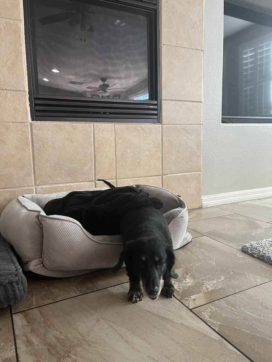 Riley/arctic tweet media