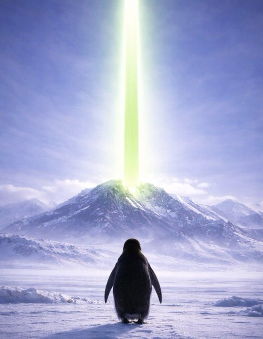 Whale View Chart tweet media