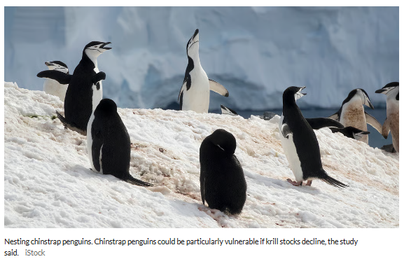 Breeding patterns among Antarctic penguins shifting at record speed due to climate change

soundnlight.in/breeding-patte…

#SLSV #SLSVIndia #AntarcticPenguins #ClimateChange #BreedingPatterns #GlobalWarmingEffects #PolarEcosystem #WildlifeResearch #PenguinConservation <a href="/AnimalEcology/">Journal of Animal Ecology</a>