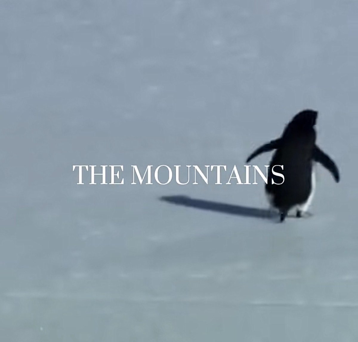 thenameisbrill's tweet photo. Gm if you Gm 

Its going to be a really big week and we won’t stop till we reach the mountains 

What are your plans? https://t.co/EbccaBHgqz