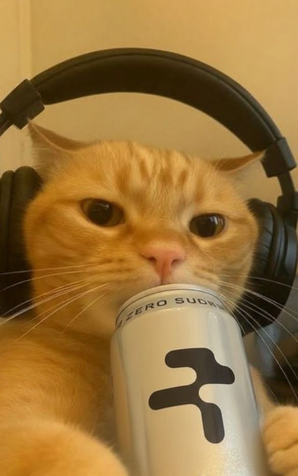 solecer | tweet media