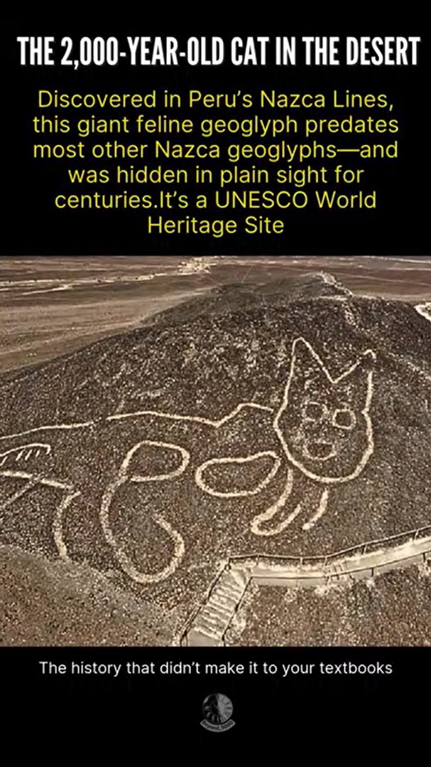 HistoryBeyondBC's tweet photo. For centuries, it was right there… and no one noticed.

Ancient worlds still whisper beneath our feet.

#NazcaLines #AncientHistory #LostCivilizations #HiddenHistory #Archaeology #AncientPeru #WorldHeritage #AncientMysteries #HistoryUncovered #Beyond5000 https://t.co/i218J18Ax0