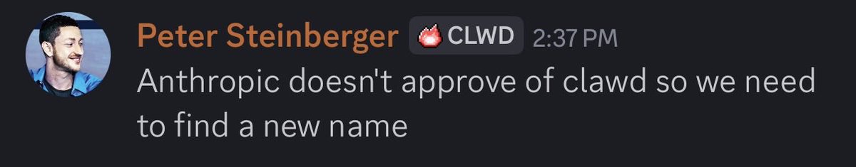 Schoen_xyz's tweet image. HOLY