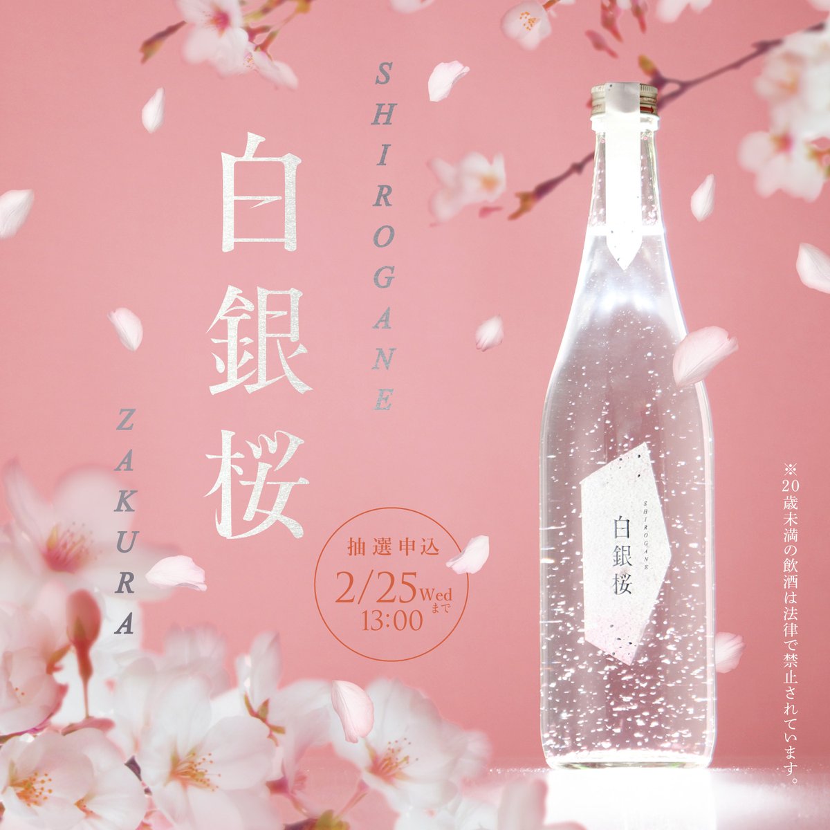 白銀桜】 桜花爛漫、桜舞いし祝い酒