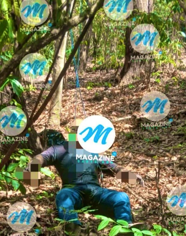HOMBRE SIN VIDA 

Ayer en finca San Pablo, El Congo, Santa Ana; se encontró el cuerpo sin vida de un hombre no identificado; simulando suicidio. Estaba en estado de descomposición . Foto cortesia.