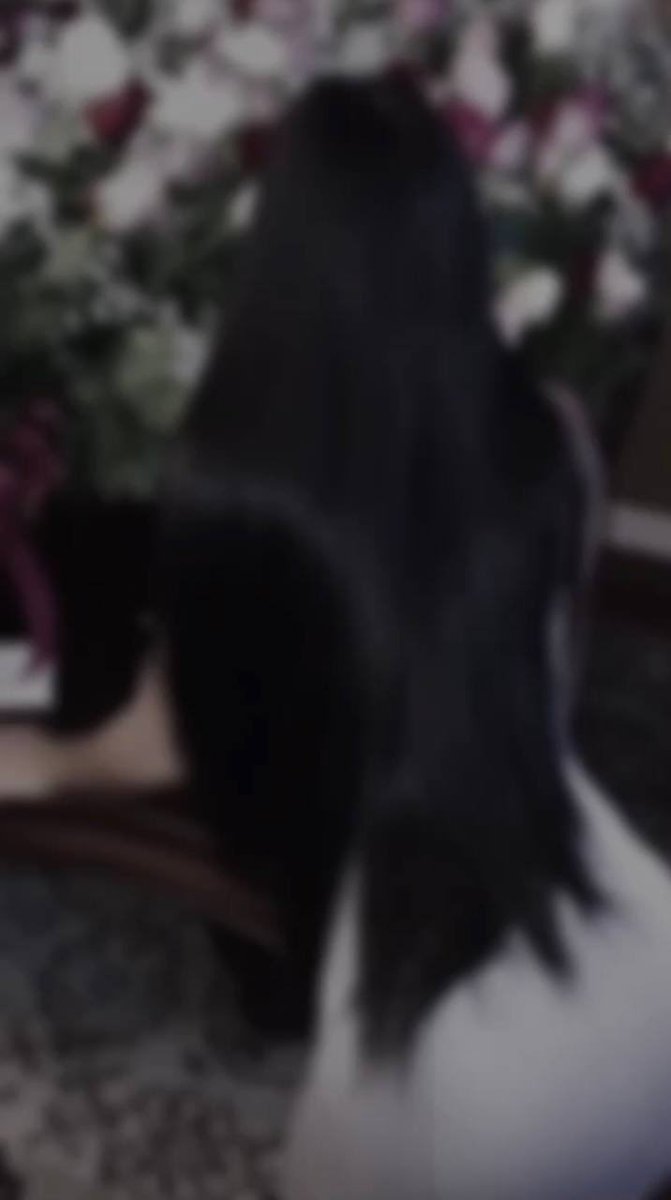 ͏

͏ 
    
    وعاده خصرك الفتّان من يومه الى ذلحين 
     يمّـر بـ أزمـةٍ تعكس رغـد توتـك وعنّـابك

                                 ♥️🔕 

͏