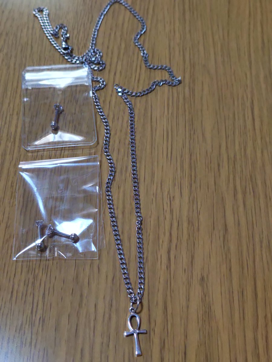 ピアス３つとサージカルステンレスネックレスが届いたよ✨️
ピアス穴は右に２つ左に１つ開ける様にスキンクリニックへの予約も入れた👍

あとはピアスの消毒液を購入するだけ
ドン・キホーテとか探したけど、売って無かったからネットで注文します

クリニック行くの楽しみ✨️楽しみ✨️