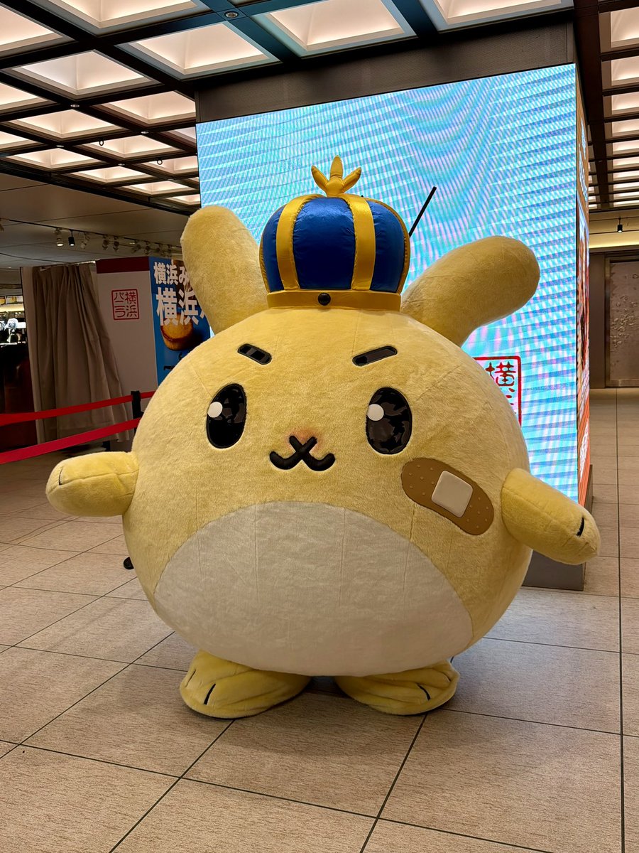 バニ丸ぅぅう〜🥺💖
かわいいよ〜🍨👑✨
#横浜バニラ
#バニ丸