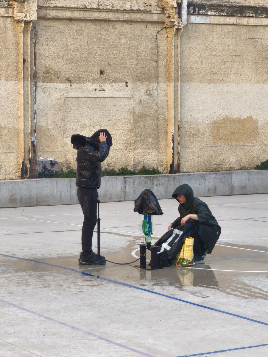 insaferrer tweet media