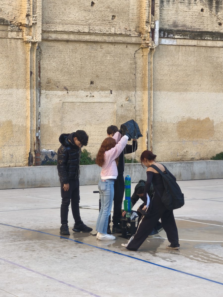 insaferrer tweet media