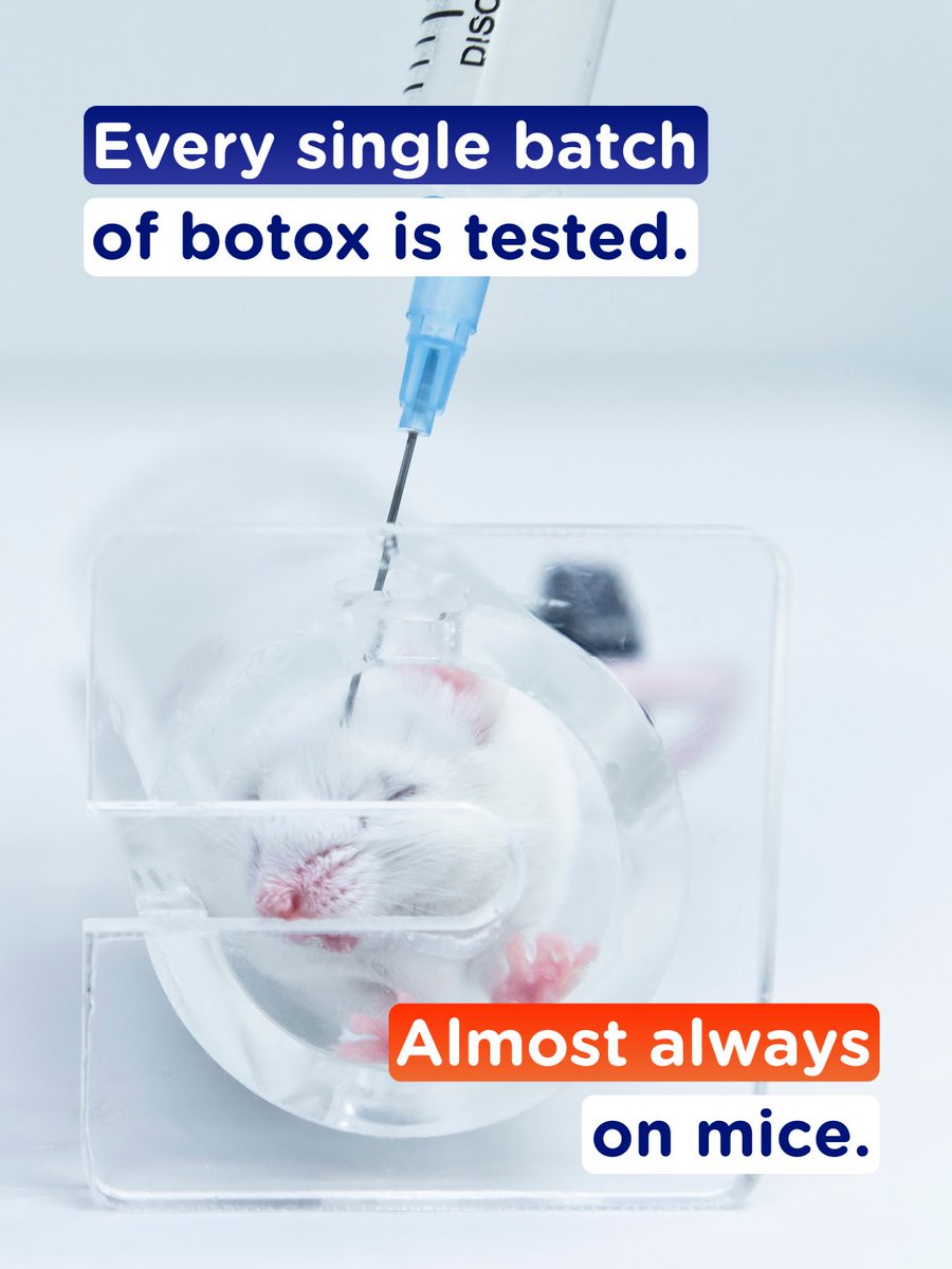 The Humane Research Trust tweet media