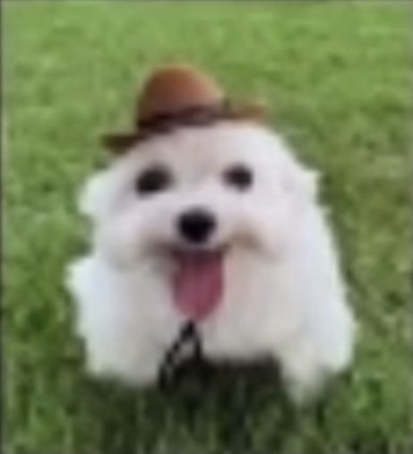 𝕷OW - CLASS ᅠ𝐖𝐀𝐑𝐑𝐈𝐎𝐑.ᅠ✧ tweet media