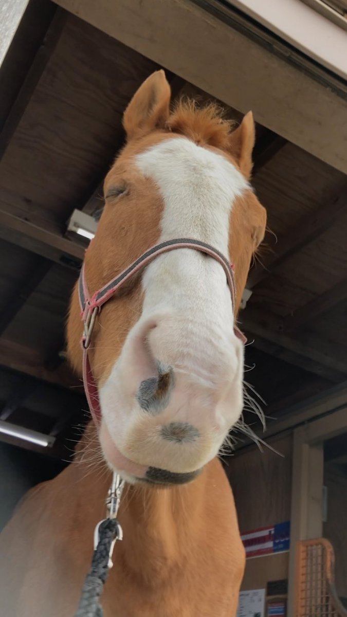 mican (@mican63814172) / Posts / X