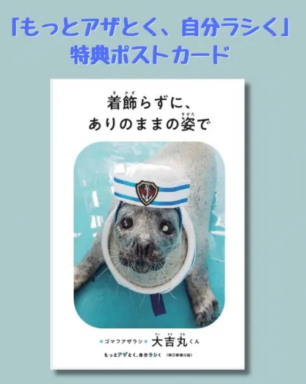 アザラシ🦭は至高。