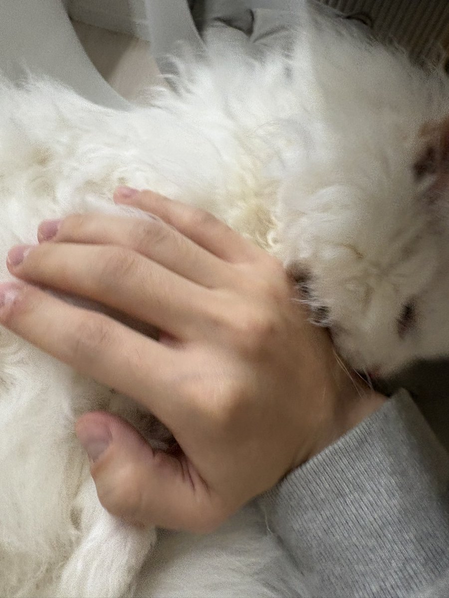 イェルテ/Yelte🌦🛸 tweet media