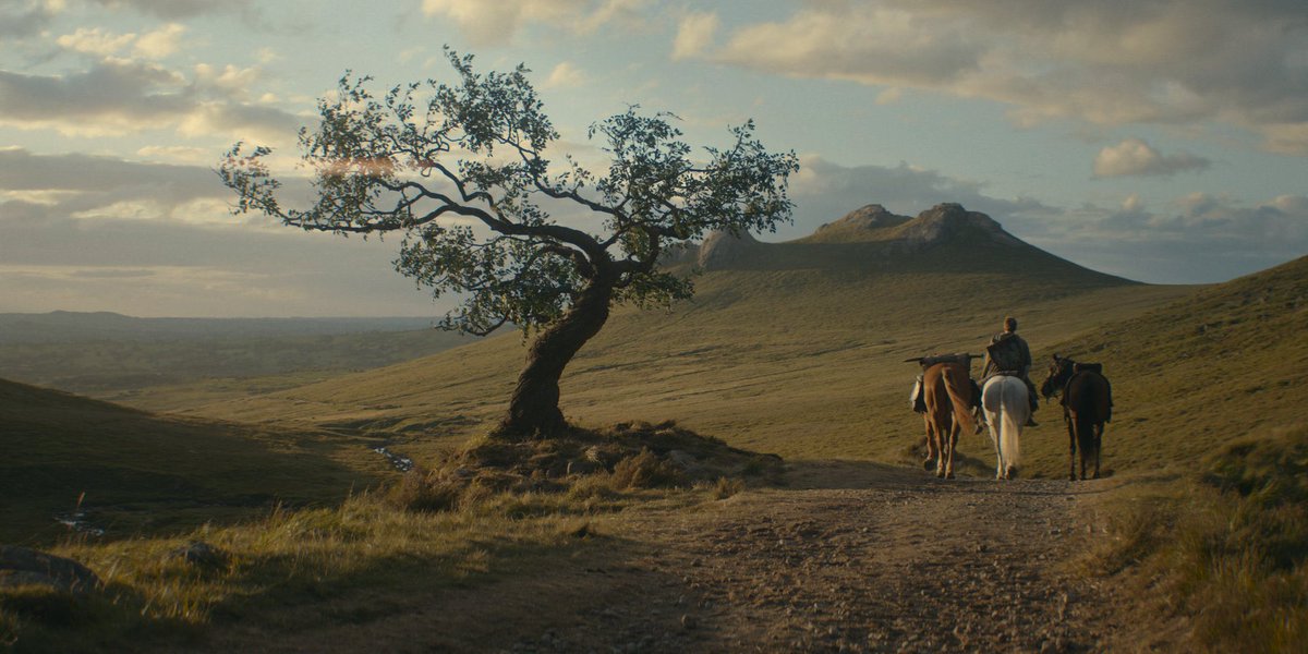 A_Stark_l's tweet image. صباح الخير يا رِفاق

للتو شاهدت "فارس من الممالك السَّبع" ووجدته ألطف وأمتع مما توقعت. لا أتحدث عن القصة، لست متفاجئًا بها، فـ «حكايات دنك وإج» من أجمل ما كتب جورج، لكنها - كغيرها - تتطلب إحسانًا وإخلاصًا ليظهر جمالها كما شاهدنا .. حتى الآن.