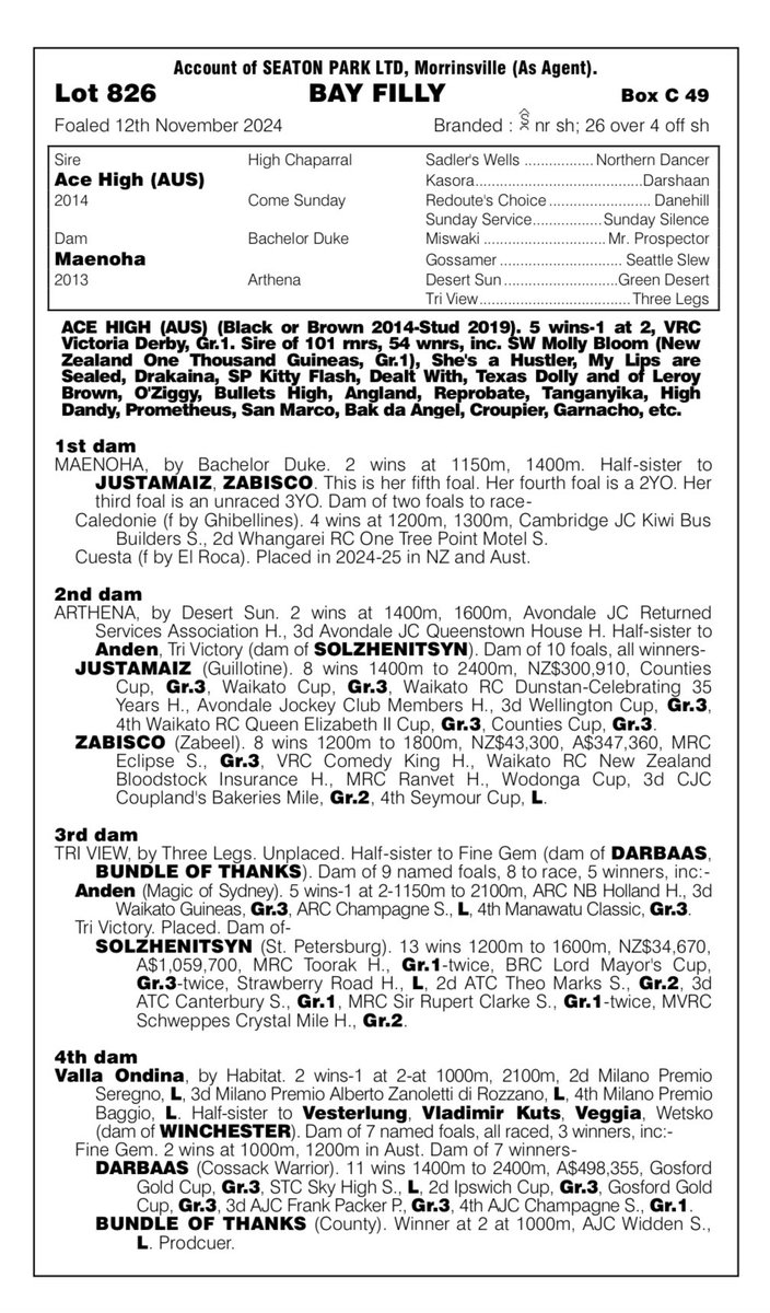 Rising Sun Syndicate 🇦🇺 tweet media