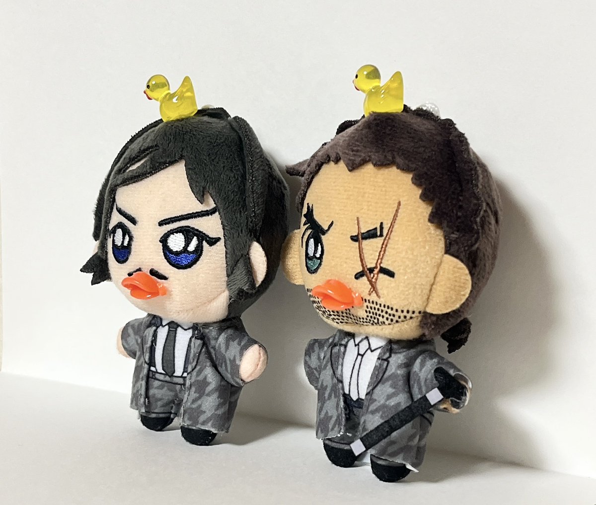 うちに来たぬいには強制的にアヒルになってもらっております🦆