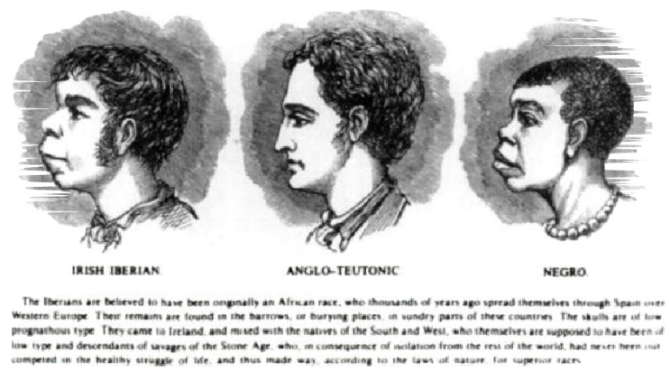 David Morgan tweet media