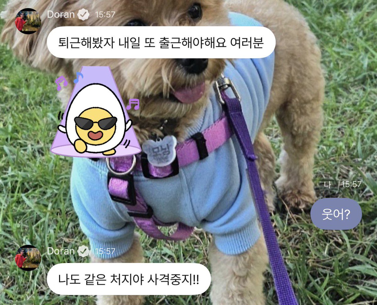 파란🐿️ tweet media