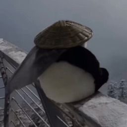 cybermrcury's tweet image. Feeling something that I can’t name