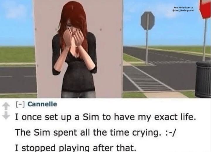 sudox.bsky - sudox.defcon.social (@kmcnam1) on Twitter photo 