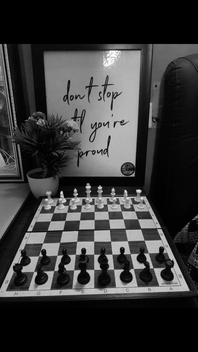 Daisy 🎀 tweet media