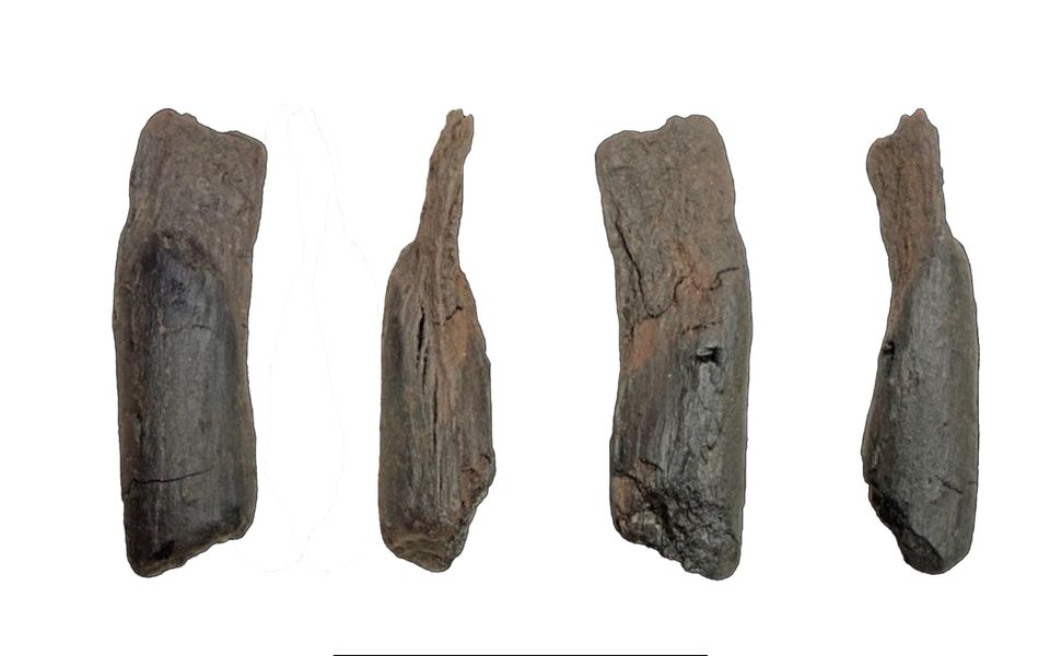 Scientists recover the oldest wooden tools from a site in Greece dlvr.it/TQZxQs