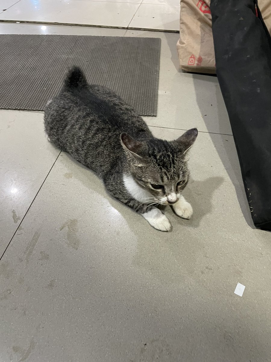 ULM menfess tweet media