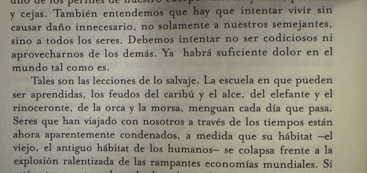 JavierCG tweet media