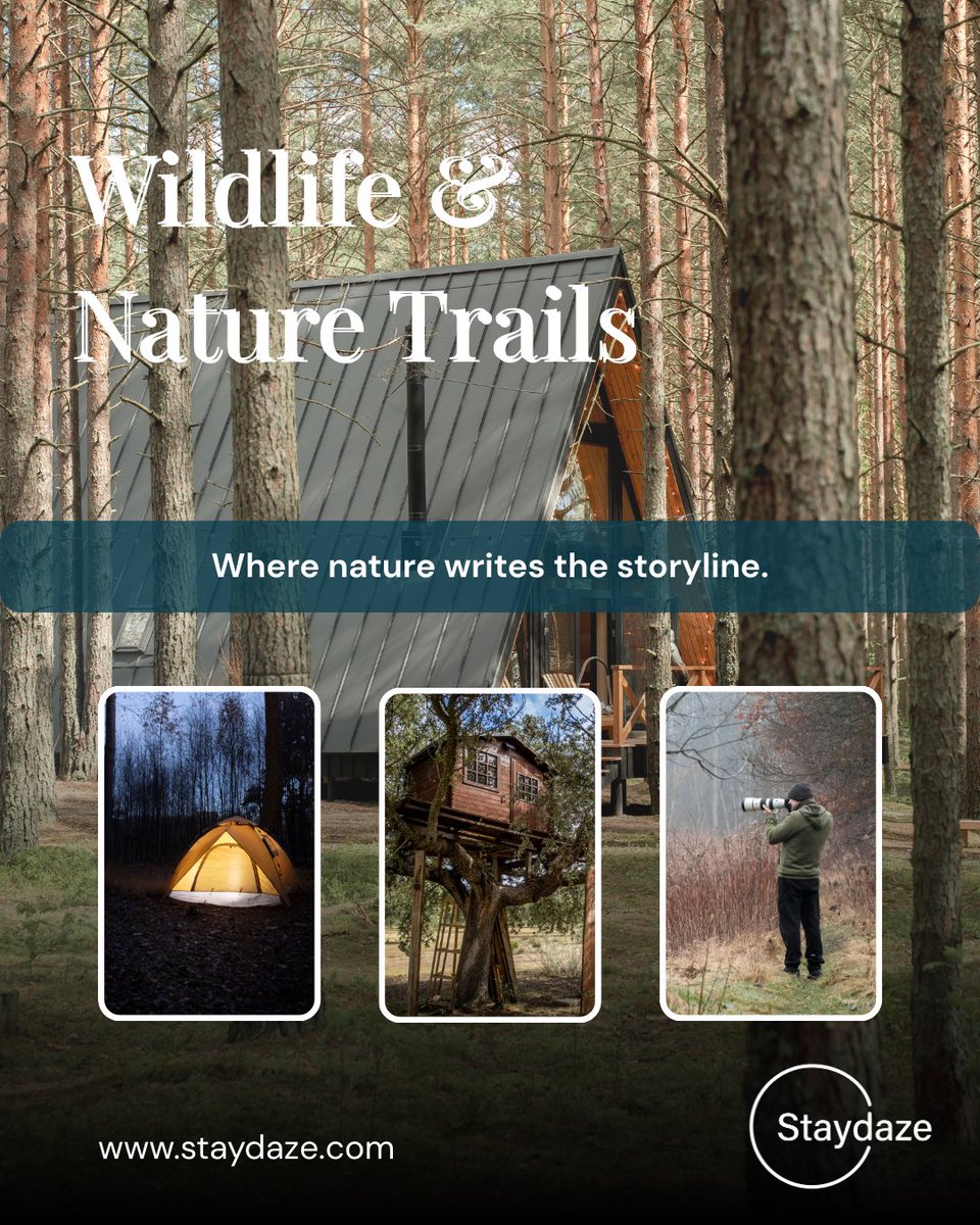 staydaze_com's tweet photo. Explore forest lodges, eco-retreats,&amp; hidden stays designed for those who feel most alive among trees, trails,&amp; the untamed.
Step into the wild. Stay in its rhythm.
Discover nature-led stays at https://t.co/xiOTCCMIJv
#StayDaze #NatureTrails #EcoStays #wildlife #TravelDifferently https://t.co/UcK0hJPnYl