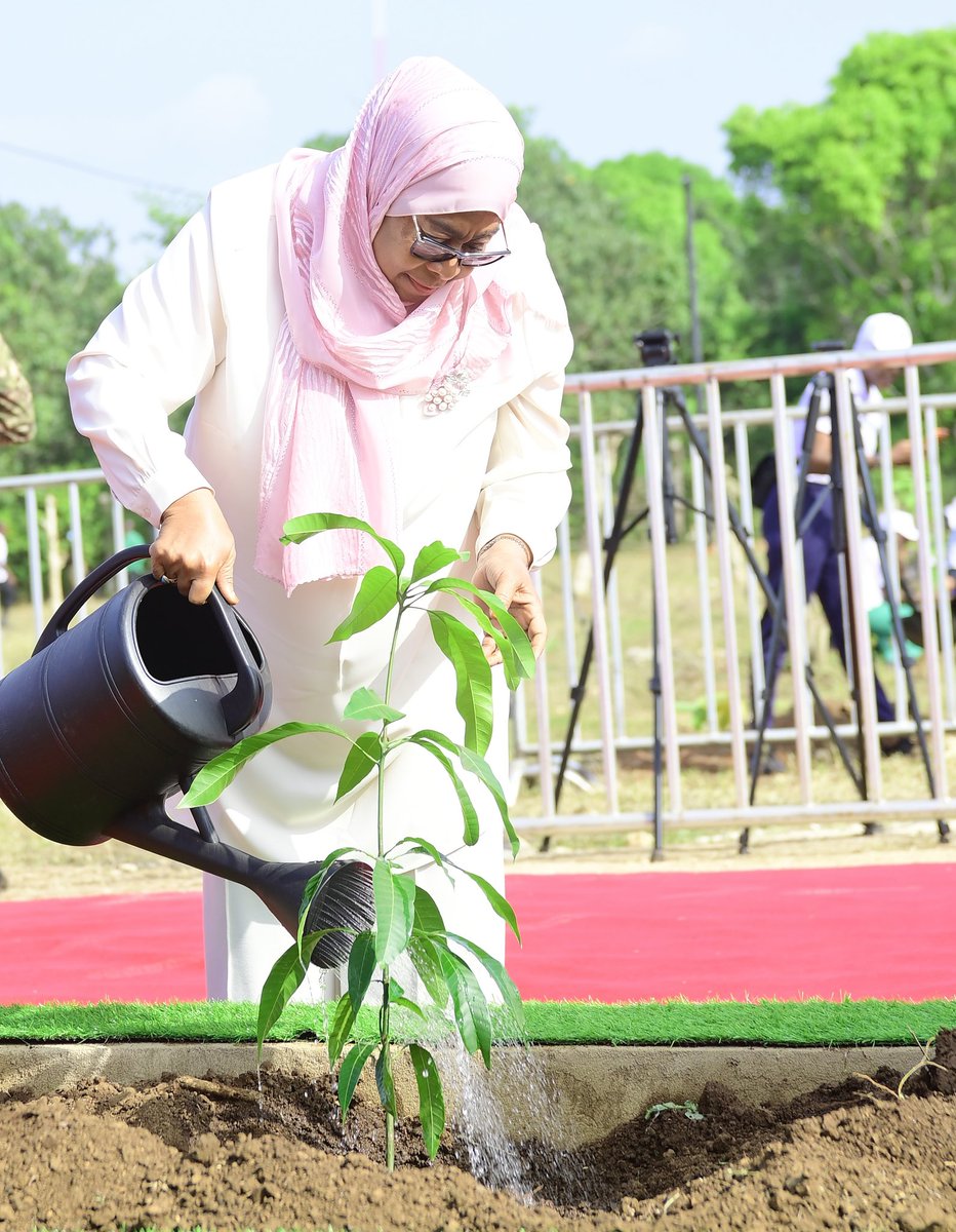 ikulu_Tanzania tweet media